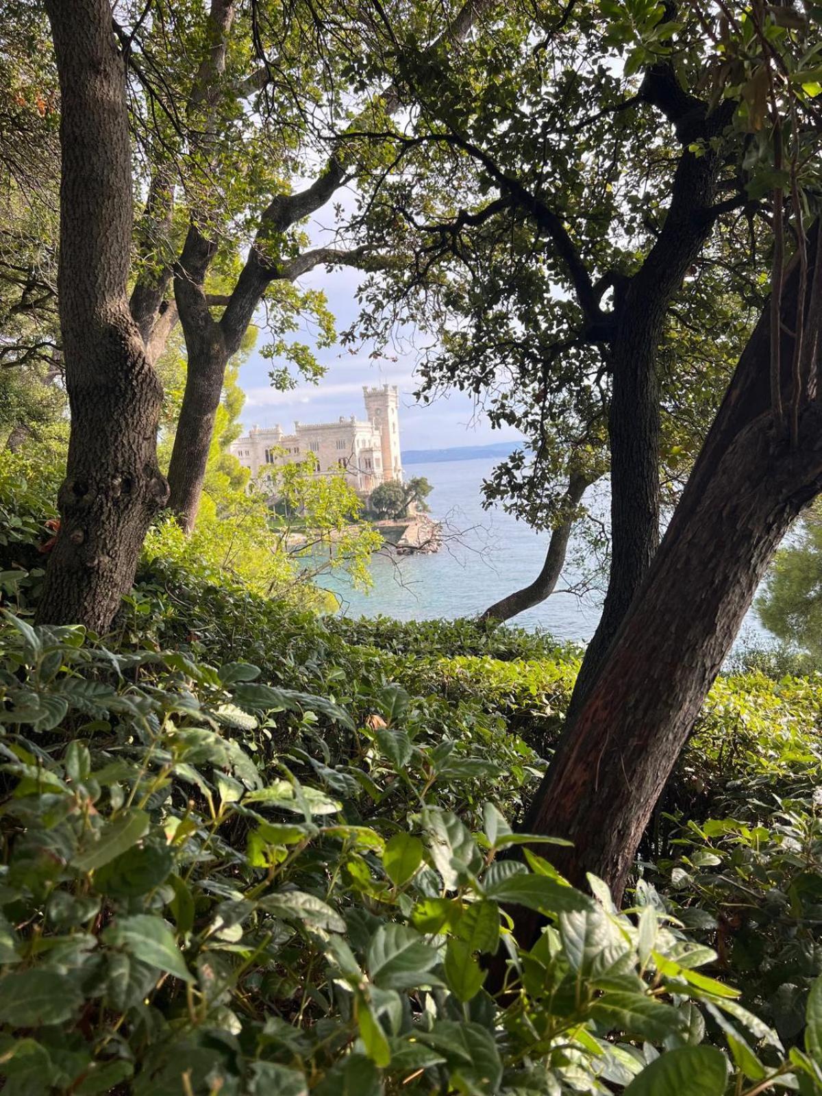 Vignola 6 Daire Trieste Dış mekan fotoğraf